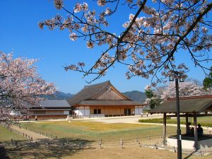 篠山城大書院の春の桜