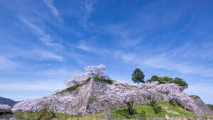 Takeda Castle